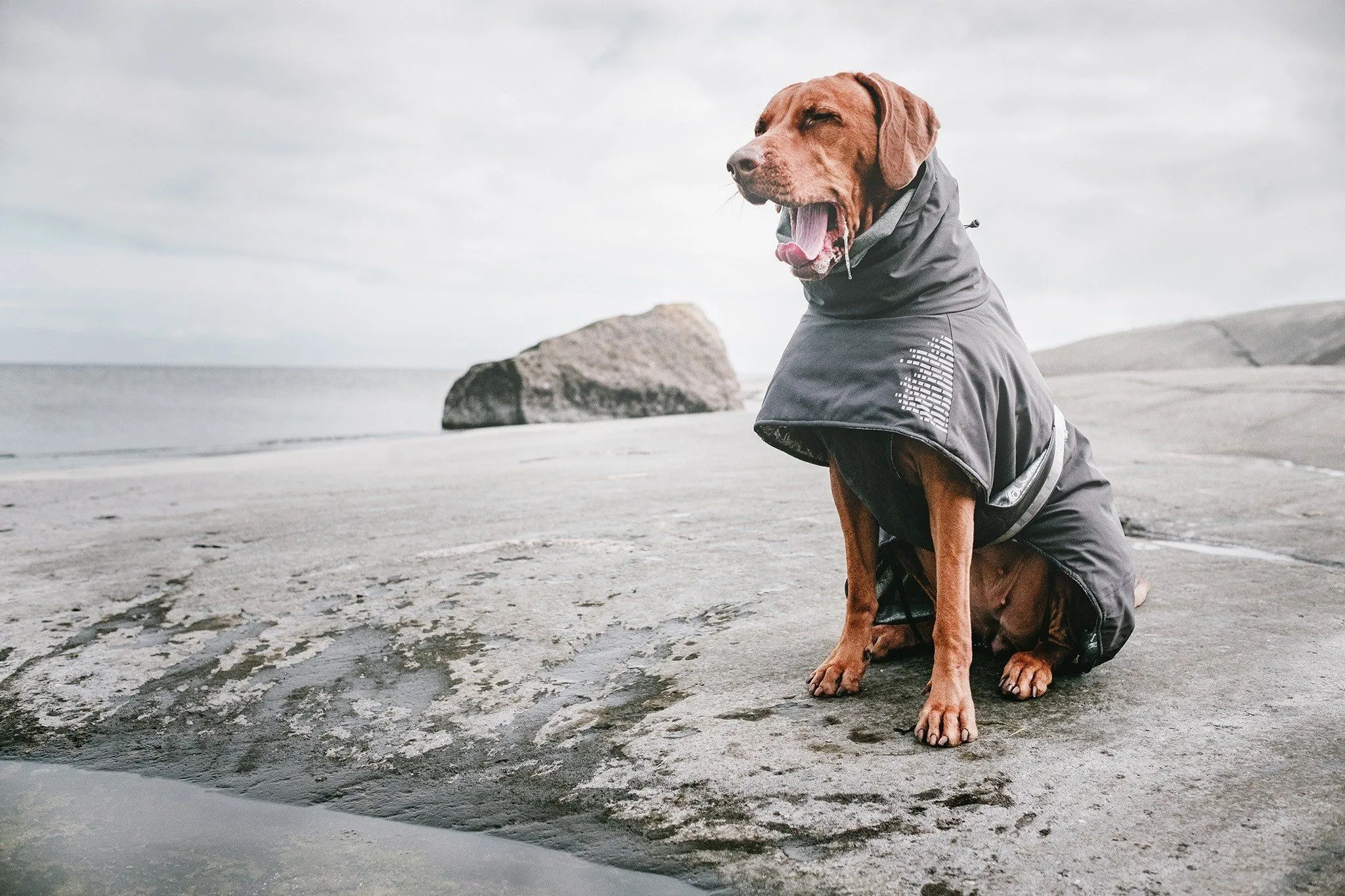 Extreme Warmer Dog Jacket