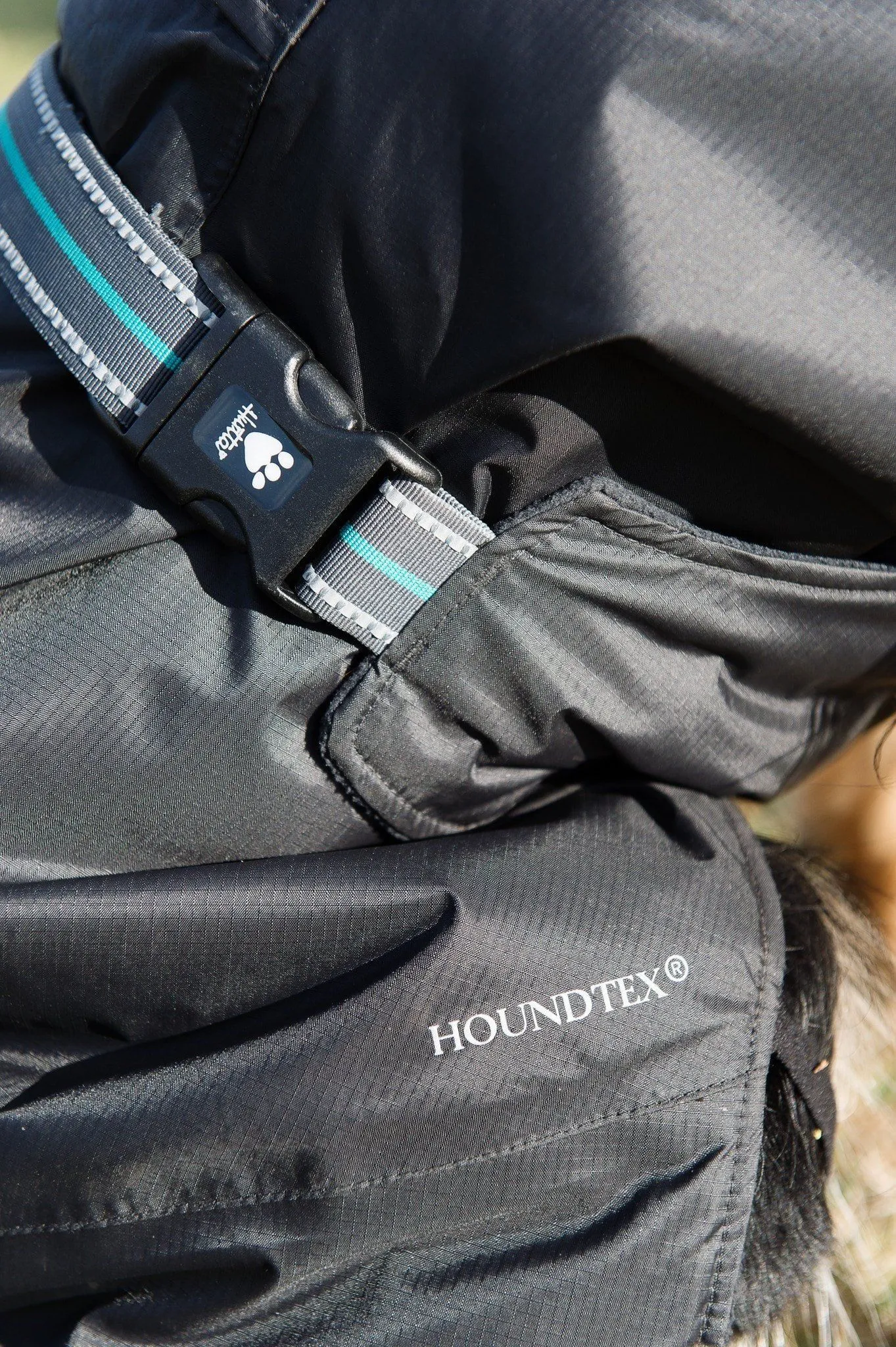 Summit Dog Parka