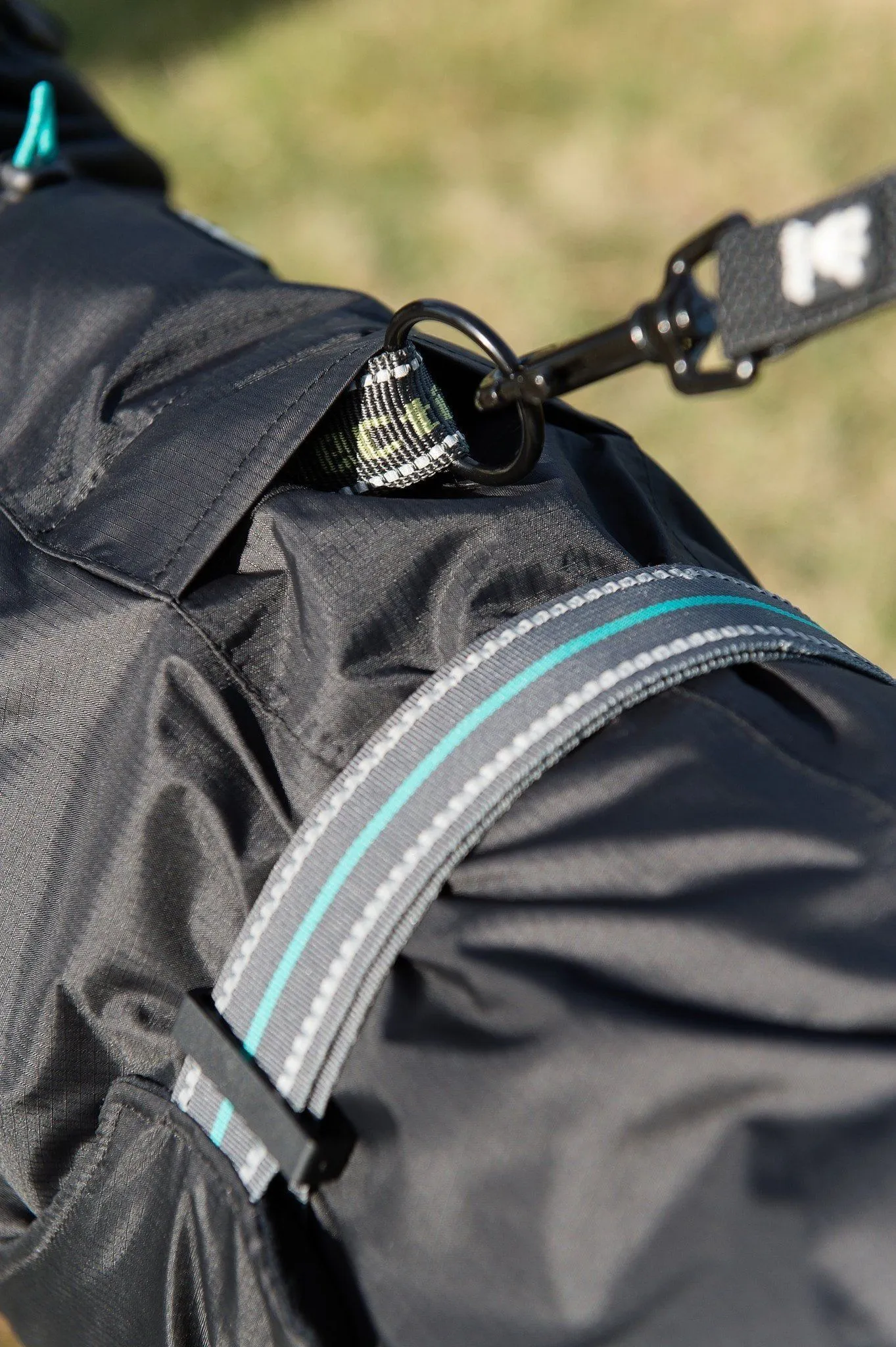 Summit Dog Parka