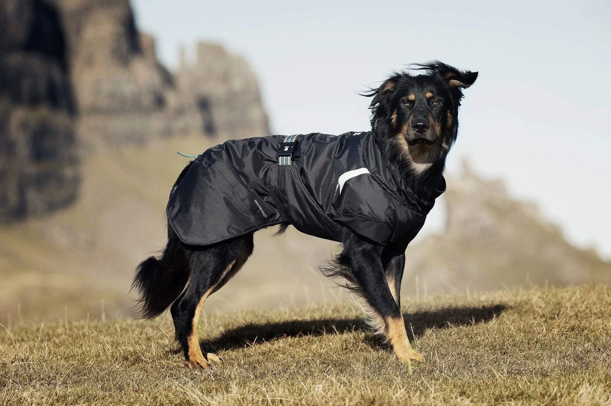 Summit Dog Parka