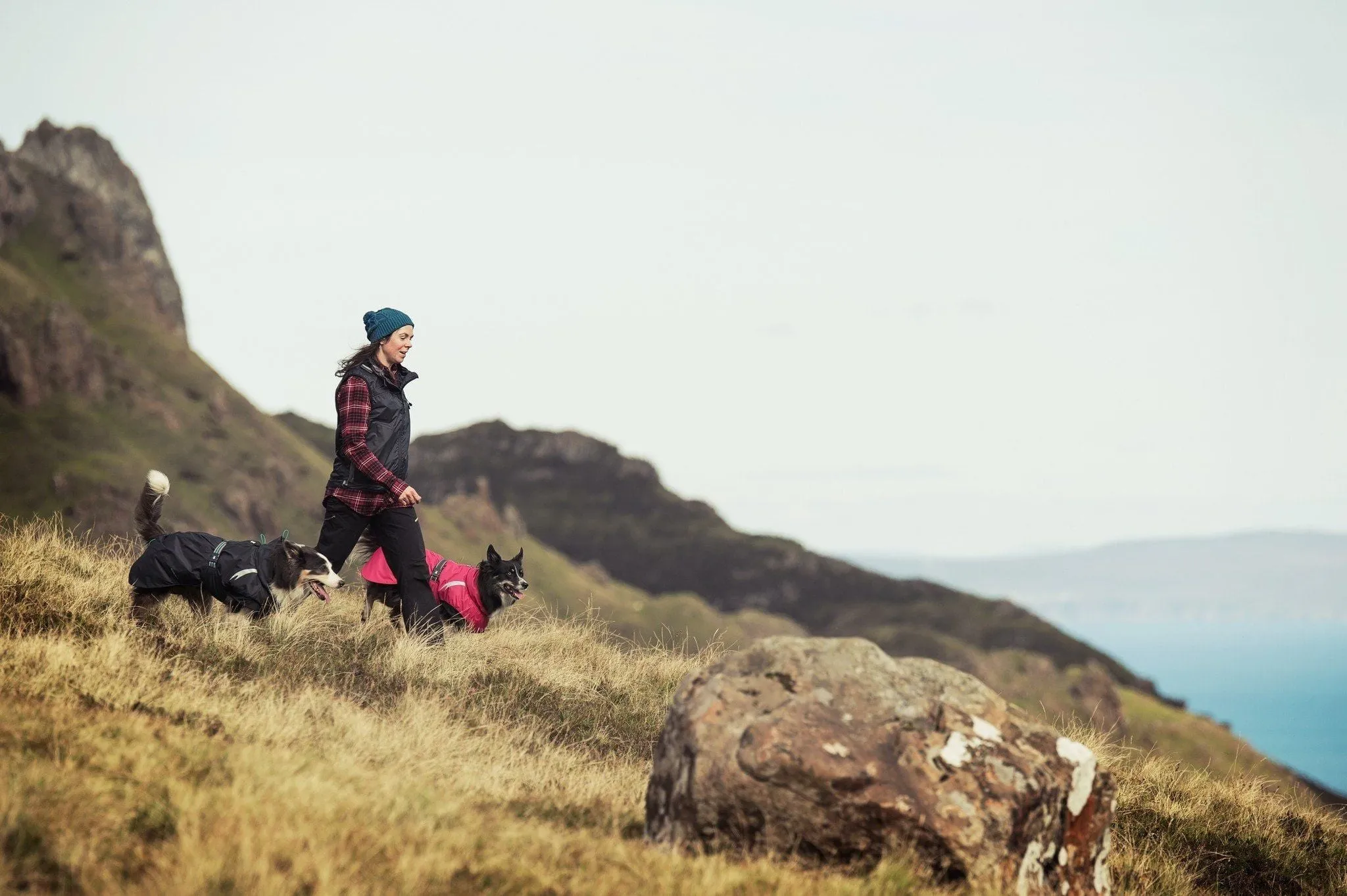Summit Dog Parka