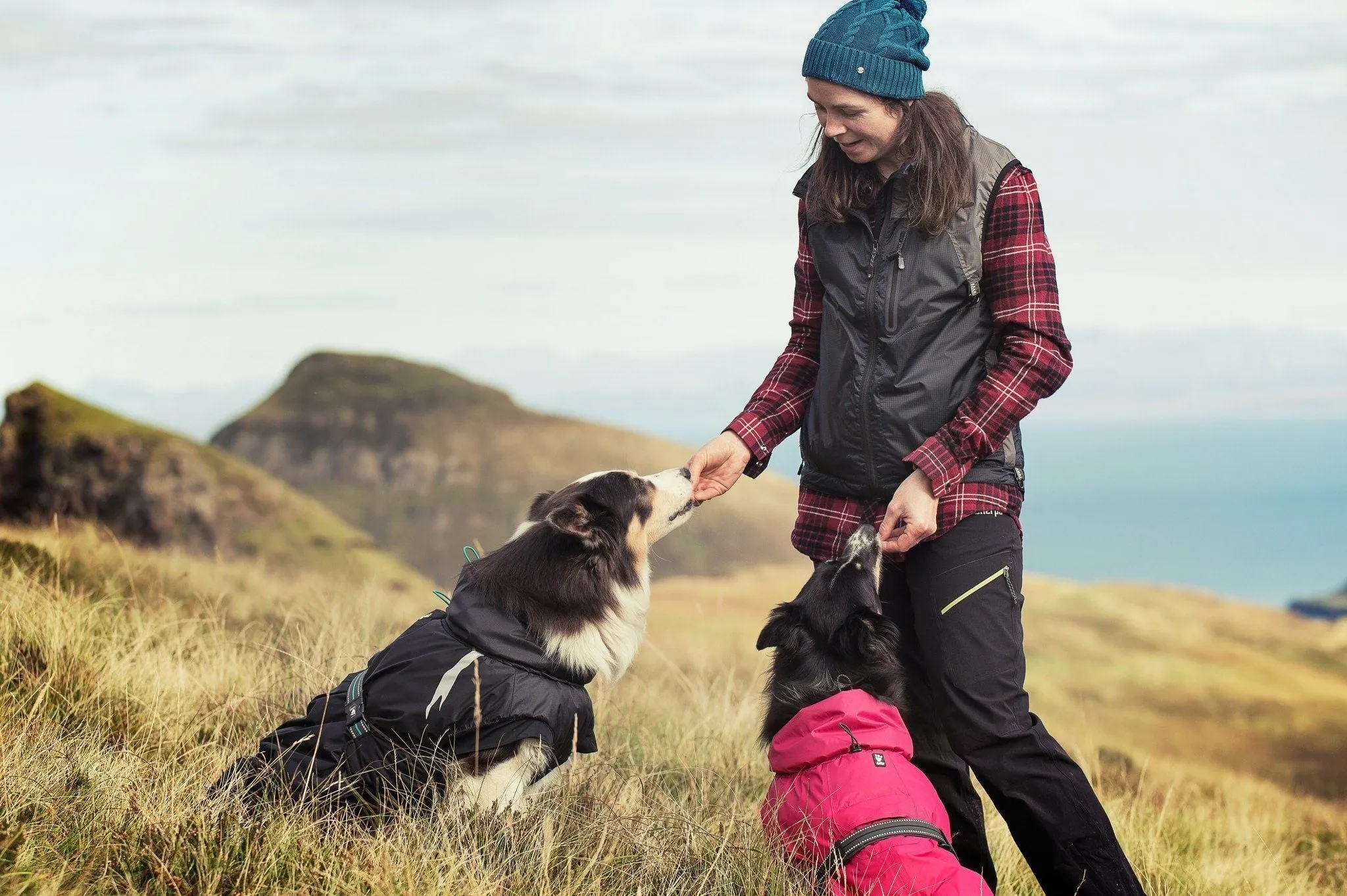 Summit Dog Parka